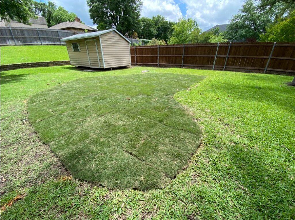 How to Get the Best Value on Artificial Turf